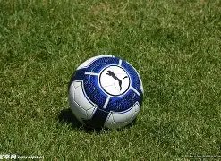 叶群独家揭,排列三,预测攻略,江苏体彩,江苏体彩网,江苏体彩网官网,体育彩票,体彩大乐透,竞彩足球,体彩公益