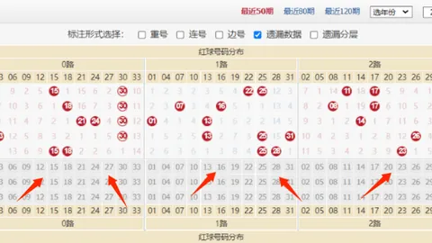 双色球26年024期专家核心一码定蓝推荐分析