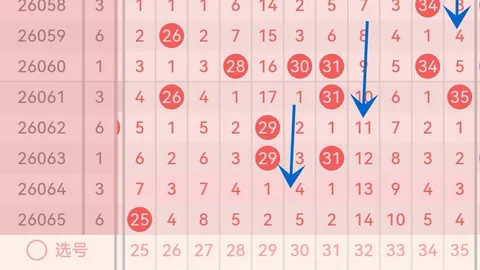 2026期排列526165深度解析：女巫大人独家攻略